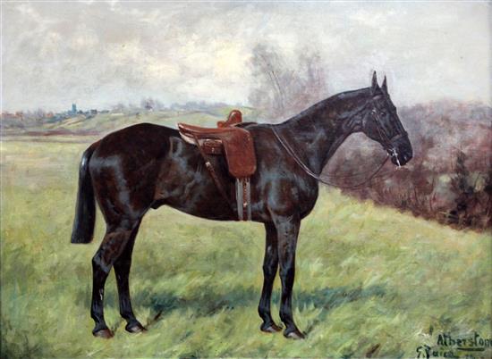 George Paice (1854-1925) Atherstone - Queen Victorias favourite hack, 19 x 27in.